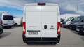 Fiat Ducato 2.3 L4H2 *Netto €21.658,-* Weiß - thumbnail 5