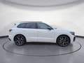Volkswagen Touareg TDI R-Line IQ.Drive Pano Massage Dynaudi Weiß - thumbnail 6