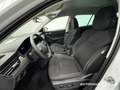 Skoda Kamiq ScoutLine 1.0 TSI DSG *CAM *Navi *LED *SHZ Kurvenl Weiß - thumbnail 5