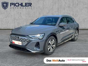 55 e-tron quattro business