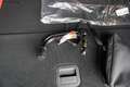 Ford Focus ST-Line X 1.0 155PS Aut.UPE=41700€      ** Schwarz - thumbnail 14