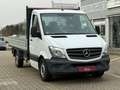 Mercedes-Benz Sprinter Pritsche *1.Hd *bis 3,5t *3665mm RS Blanco - thumbnail 3