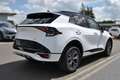 Kia Sportage 1.6T HEV AWD Aut. GTL UVP 53.079 EUR Weiß - thumbnail 6