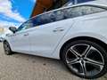 SEAT Leon Kombi FR 1,5 TSI ACT Weiß - thumbnail 7