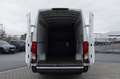 Iveco Daily Family 35C17 SV 3520L H2 Tor 12.0 170 Bianco - thumbnail 6