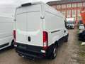 Iveco Daily Family 35C17 SV 3520L H2 Tor 12.0 170 Bianco - thumbnail 5