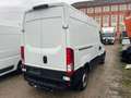 Iveco Daily Family 35C17 SV 3520L H2 Tor 12.0 170 Blanc - thumbnail 5