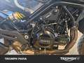 Benelli Leoncino Trail E5 Grigio - thumbnail 15
