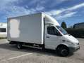 Mercedes-Benz Sprinter 313 CDI 3,5 t / 3.000 mm - thumbnail 2