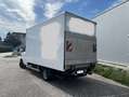 Mercedes-Benz Sprinter 313 CDI 3,5 t / 3.000 mm - thumbnail 3