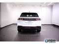 Volkswagen Tiguan 2.0 TDI DSG R-Line ACC AKTIVSITZE LED Weiß - thumbnail 3