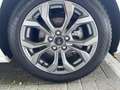 Ford Focus Turnier ST-Line 1.0 MHEV Navi+LED+Allwetter Weiß - thumbnail 14