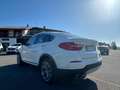 BMW X4 xDrive20d xLine Bianco - thumbnail 7
