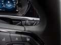 Ford Grau - thumbnail 21