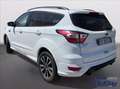 Ford Kuga 2.0 TDCI 120 CV S&S 2WD ST-Line Bianco - thumbnail 13