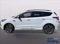 Ford Kuga 2.0 TDCI 120 CV S&S 2WD ST-Line Bianco - thumbnail 12