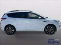 Ford Kuga 2.0 TDCI 120 CV S&S 2WD ST-Line Bianco - thumbnail 4