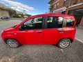 Fiat Panda Panda III 1.2 Benzina Lounge s Rosso - thumbnail 15