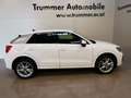 Audi Q2 30 TFSI admired Weiß - thumbnail 2
