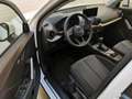 Audi Q2 30 TFSI admired Weiß - thumbnail 11