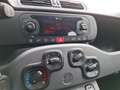 Fiat Panda 1.0 hybrid City Cross s&s 70cv Weiß - thumbnail 12