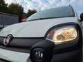 Fiat Panda 1.0 hybrid City Cross s&s 70cv Blanco - thumbnail 6