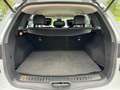 Renault Koleos 2,0 DCI  4x4 Automatik Weiß - thumbnail 6