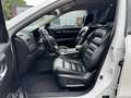 Renault Koleos 2,0 DCI  4x4 Automatik Weiß - thumbnail 11
