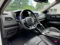 Renault Koleos 2,0 DCI  4x4 Automatik Weiß - thumbnail 12