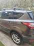 Ford Kuga Kuga II 2017 1.5 tdci Titanium Business s Szary - thumbnail 9