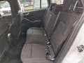Ford Focus Focus SW 1.0 ecoboost h ST-Line 125cv Bianco - thumbnail 19