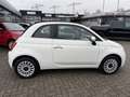 Fiat 500 C 1.0 GSE Hybrid Dolcevita Alb - thumbnail 4