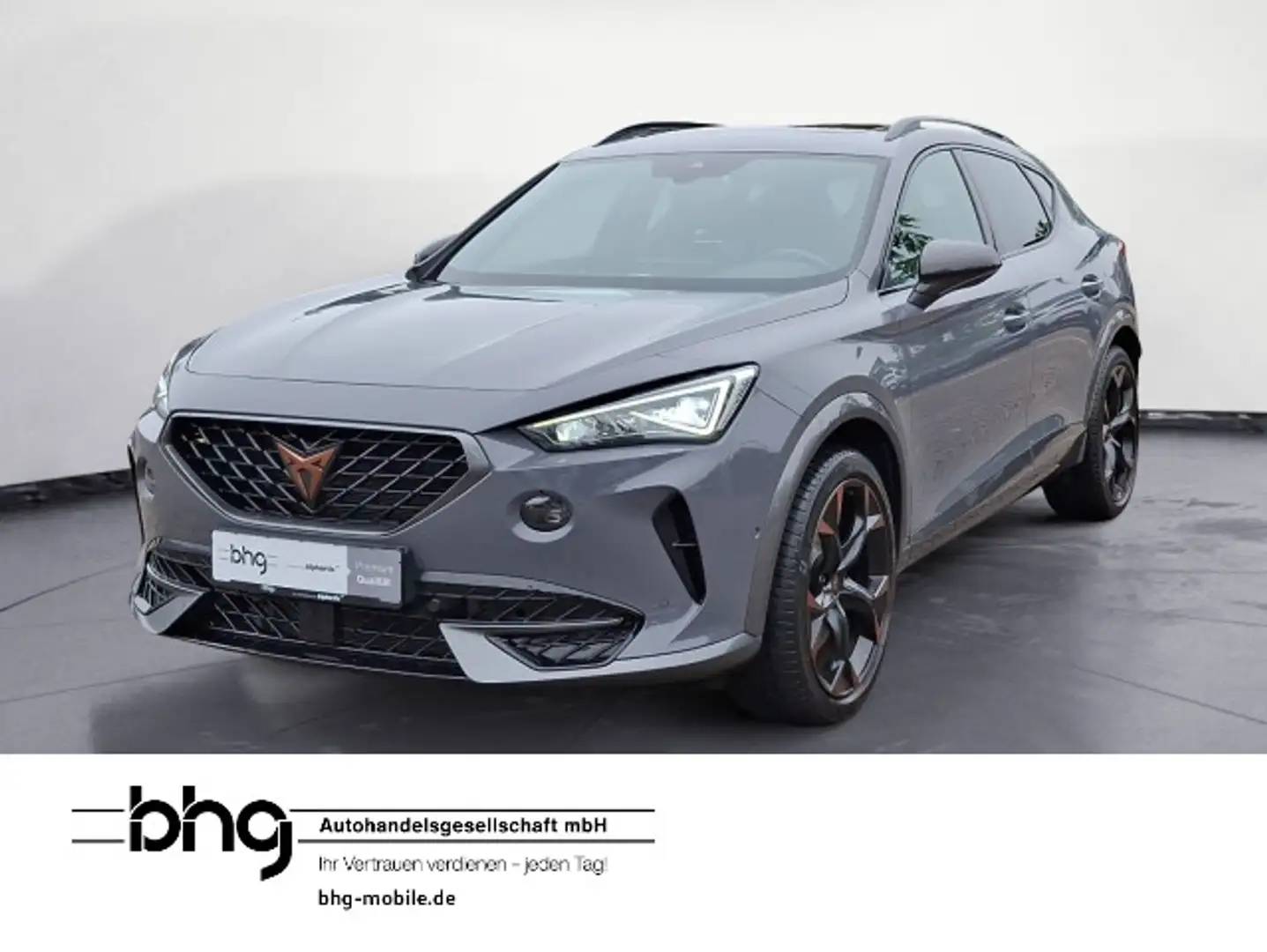 CUPRA Formentor VZ 2.0 TSI DSG Gris - 1