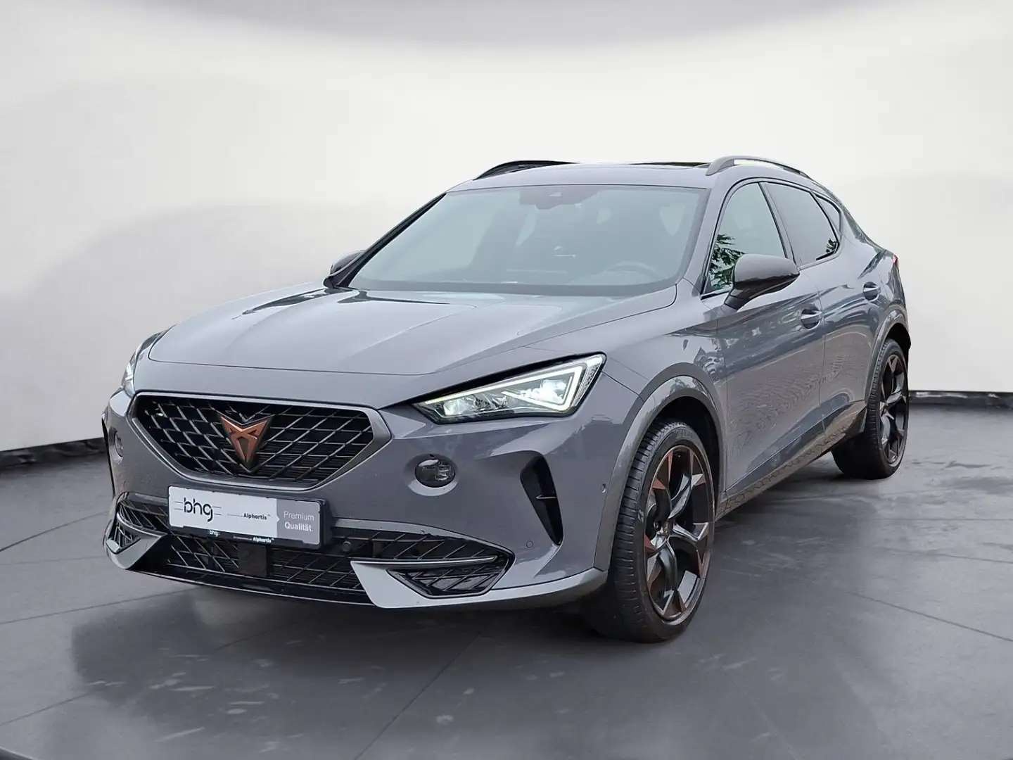 CUPRA Formentor VZ 2.0 TSI DSG Gris - 2