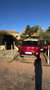 Fiat 500L 500L 1.4 Trekking 95cv Rosso - thumbnail 3
