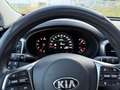 Kia Sorento Sorento 2.2 CRDi AWD Aut. Platinum Edition Schwarz - thumbnail 11