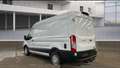 Ford Transit 350 L2H2 KLIMA SHZ AHK TEMPO SORTIMO Weiß - thumbnail 4
