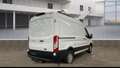 Ford Transit 350 L2H2 KLIMA SHZ AHK TEMPO SORTIMO Weiß - thumbnail 3