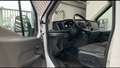 Ford Transit 350 L2H2 KLIMA SHZ AHK TEMPO SORTIMO Weiß - thumbnail 9