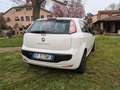 Fiat Punto Evo 5p 1.3 mjt Blue&Me s&s 75cv Bianco - thumbnail 2