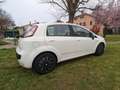 Fiat Punto Evo 5p 1.3 mjt Blue&Me s&s 75cv Bianco - thumbnail 4