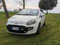 Fiat Punto Evo 5p 1.3 mjt Blue&Me s&s 75cv Bianco - thumbnail 1