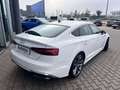 Audi A5 A5 SPB 40 TFSI S tronic S line Plus edition Bianco - thumbnail 5