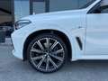 BMW X5 xDrive M50d 400CV M-SPORT Bianco - thumbnail 15