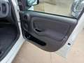 Fiat Panda Panda 1.0 hybrid  VAN Blanco - thumbnail 15