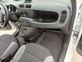 Fiat Panda Panda 1.0 hybrid  VAN Blanco - thumbnail 13