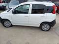 Fiat Panda Panda 1.0 hybrid  VAN Weiß - thumbnail 2