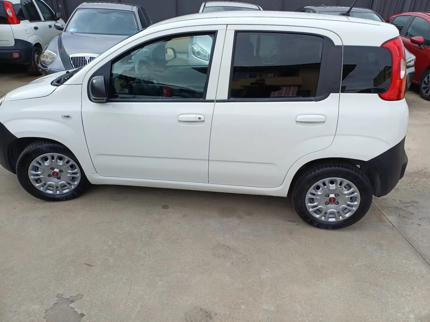 Fiat Panda Panda 1.0 hybrid VAN Weiß - 2