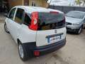 Fiat Panda Panda 1.0 hybrid  VAN Blanco - thumbnail 3