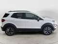 Ford EcoSport 1.0 EcoBoost 125 CV Start&Stop Active Bianco - thumbnail 3